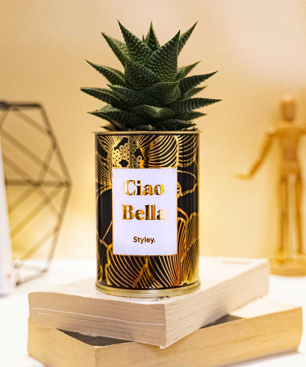 Ciao Bella - Cactus - Finitions Gold
