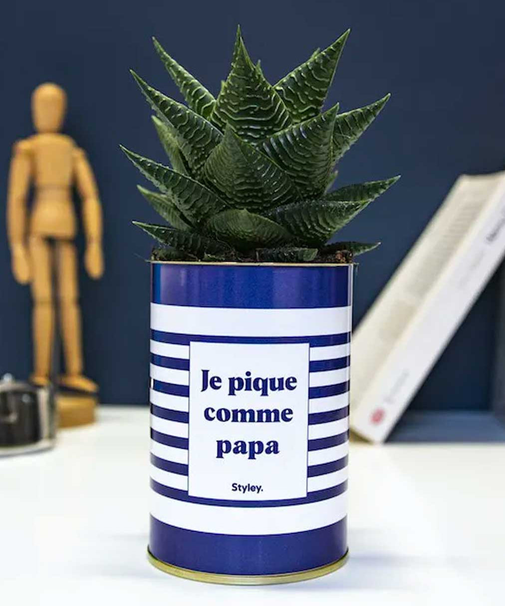 Je pique comme papa - Cactus