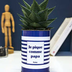 Je pique comme papa - Cactus
