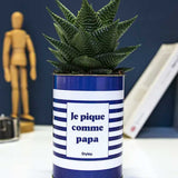 Je pique comme papa - Cactus