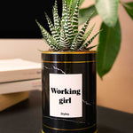 Working Girl - Cactus