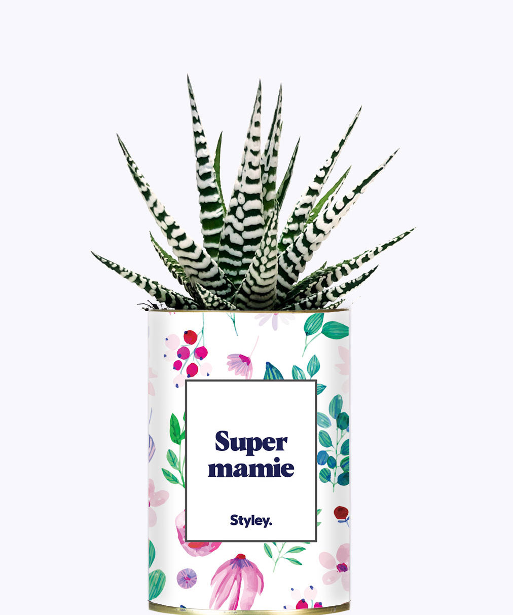 Super mamie - Cactus