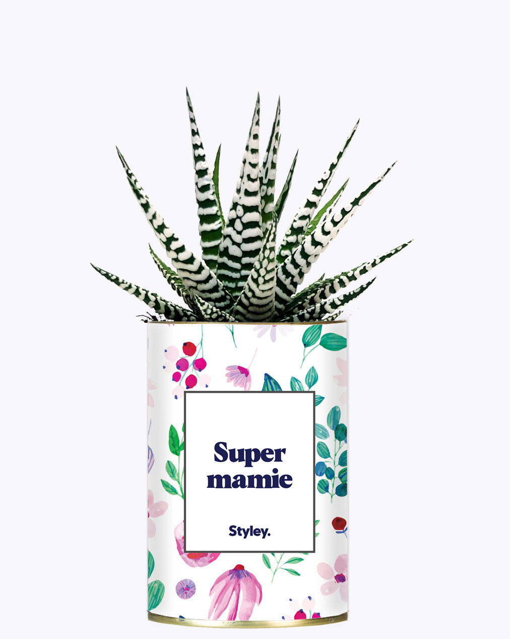 Super mamie - Cactus