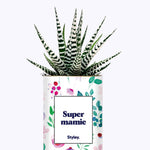 Super mamie - Cactus