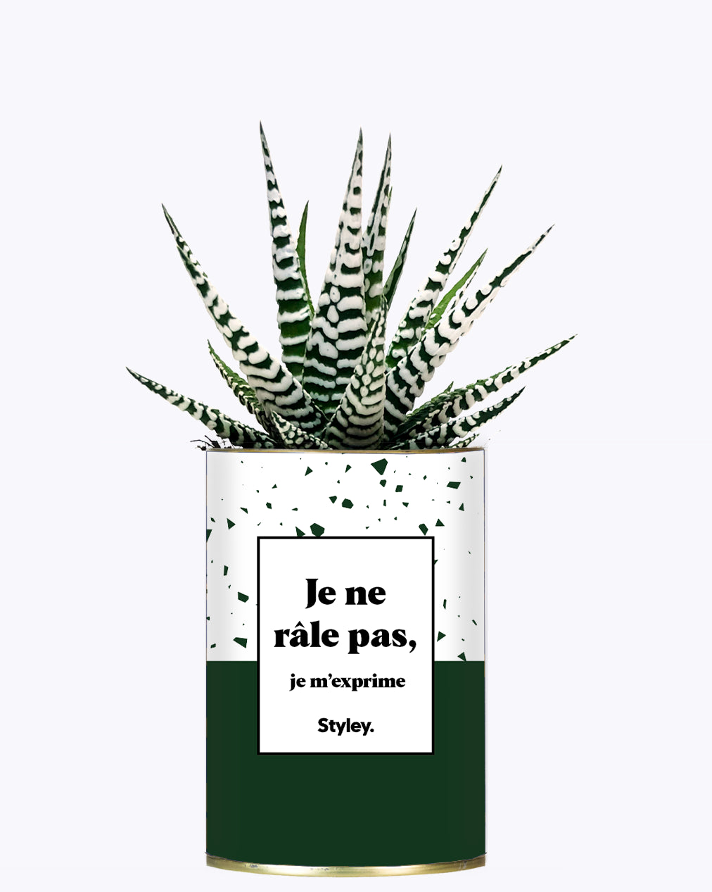 Je ne râle pas - Cactus