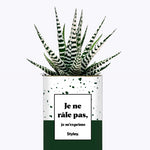 Je ne râle pas - Cactus