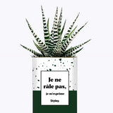 Je ne râle pas - Cactus