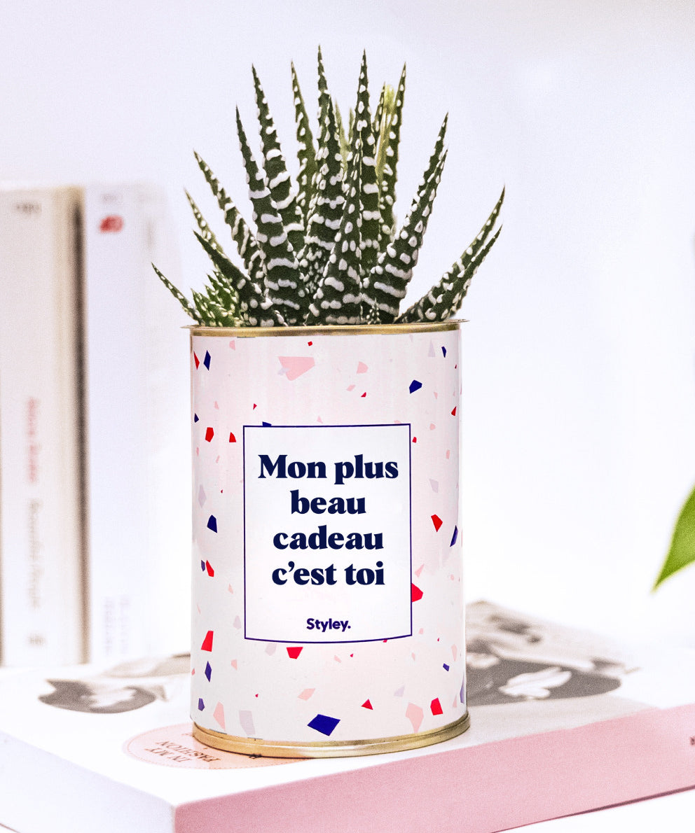Mon plus beau cadeau c'est toi - Cactus