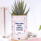 Mon plus beau cadeau c'est toi - Cactus