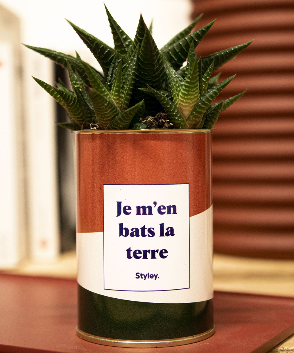 Je m'en bats la terre - Cactus