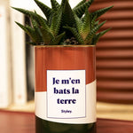 Je m'en bats la terre - Cactus