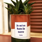 Je m'en bats la terre - Cactus
