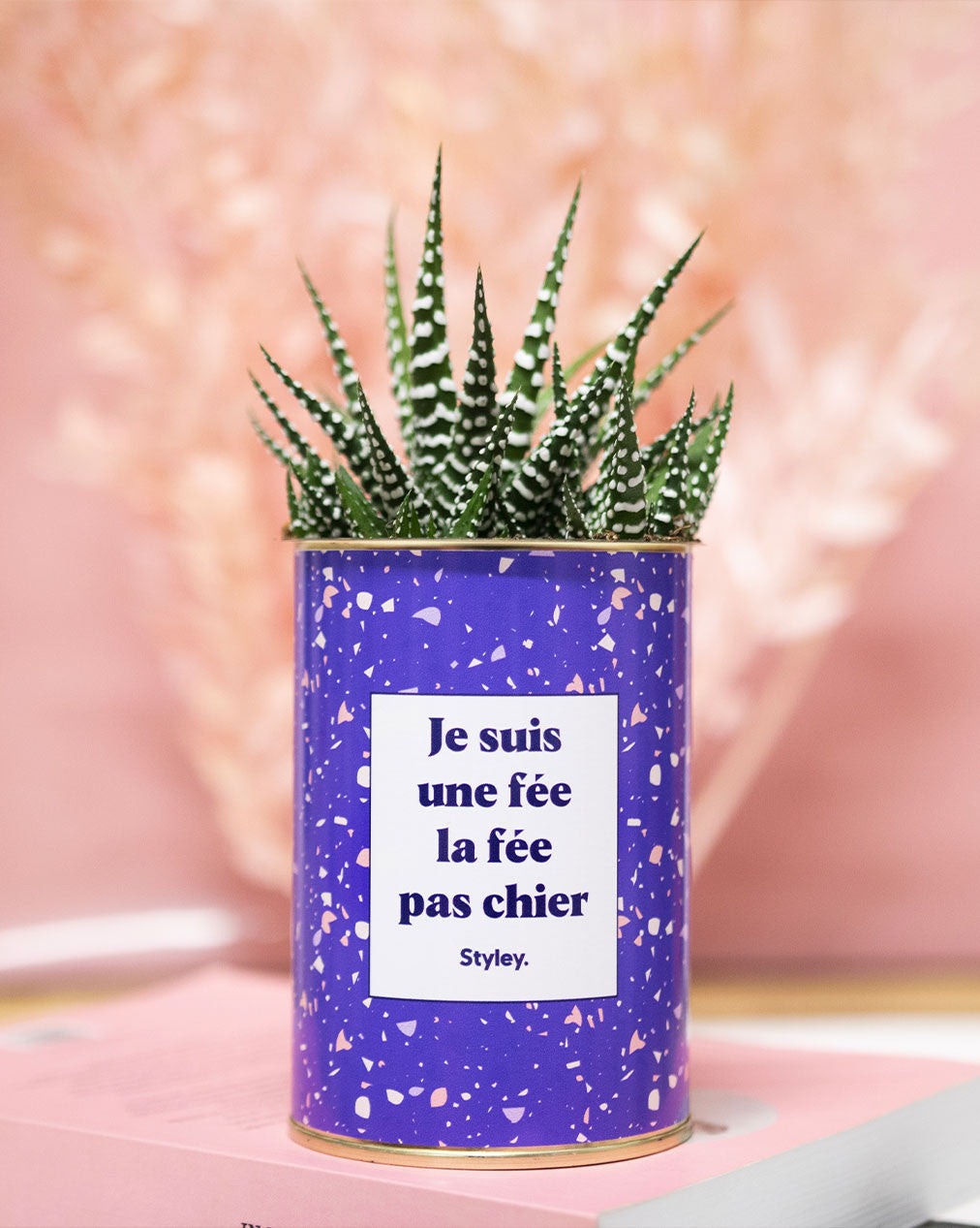 Je suis une fée la fée pas chier - Cactus