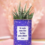 Je suis une fée la fée pas chier - Cactus