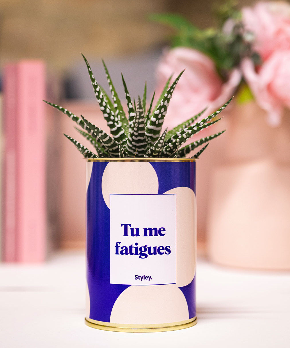 Tu me fatigues - Cactus