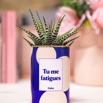Tu me fatigues - Cactus