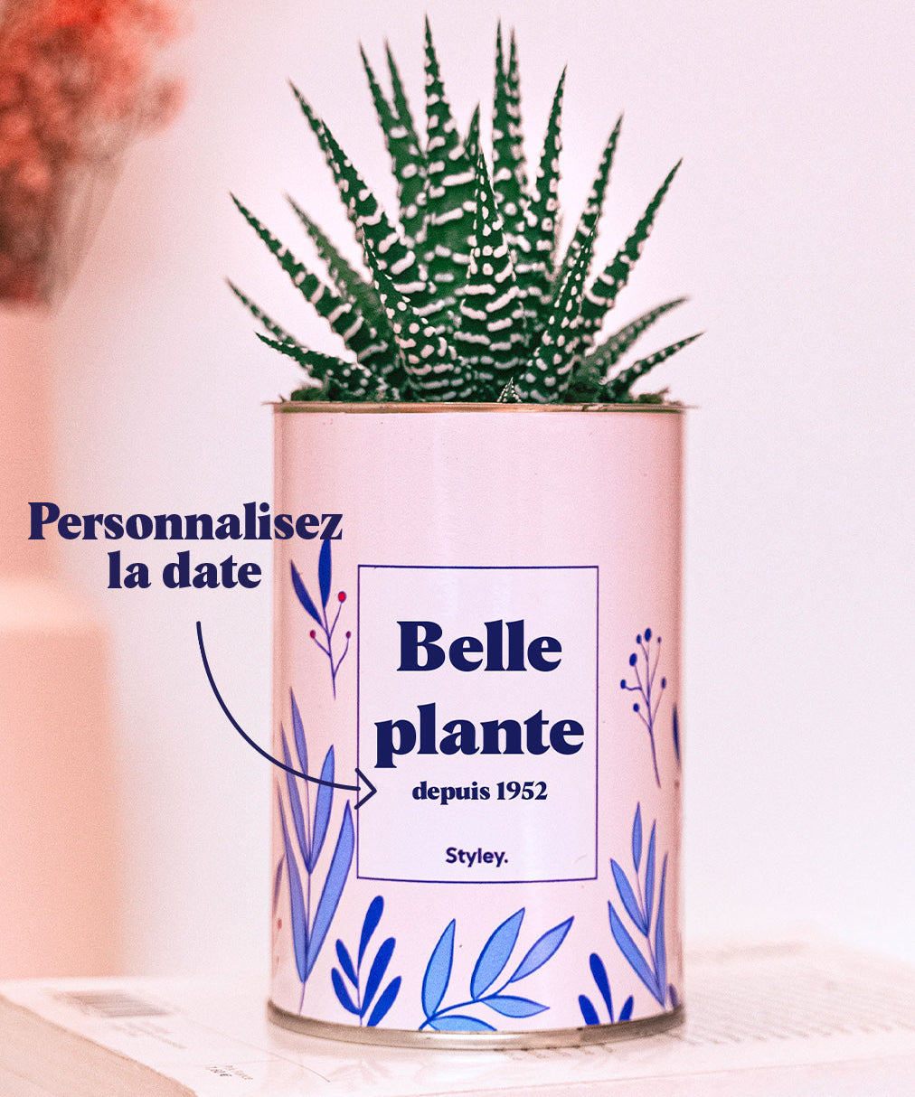 Belle plante personnalisable  - Cactus