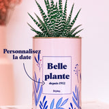 Belle plante personnalisable  - Cactus