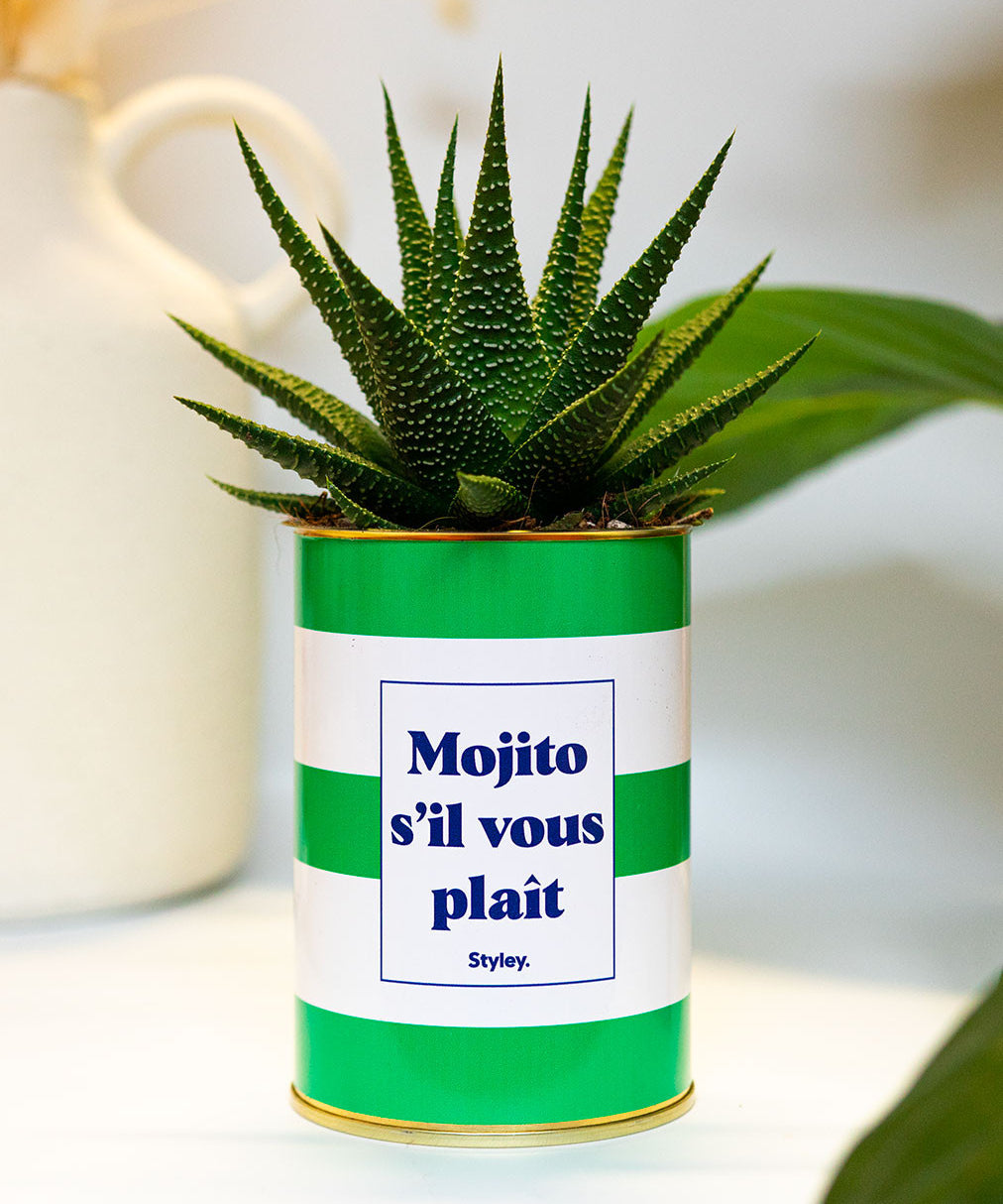 Mojito S'il vous plait - Cactus