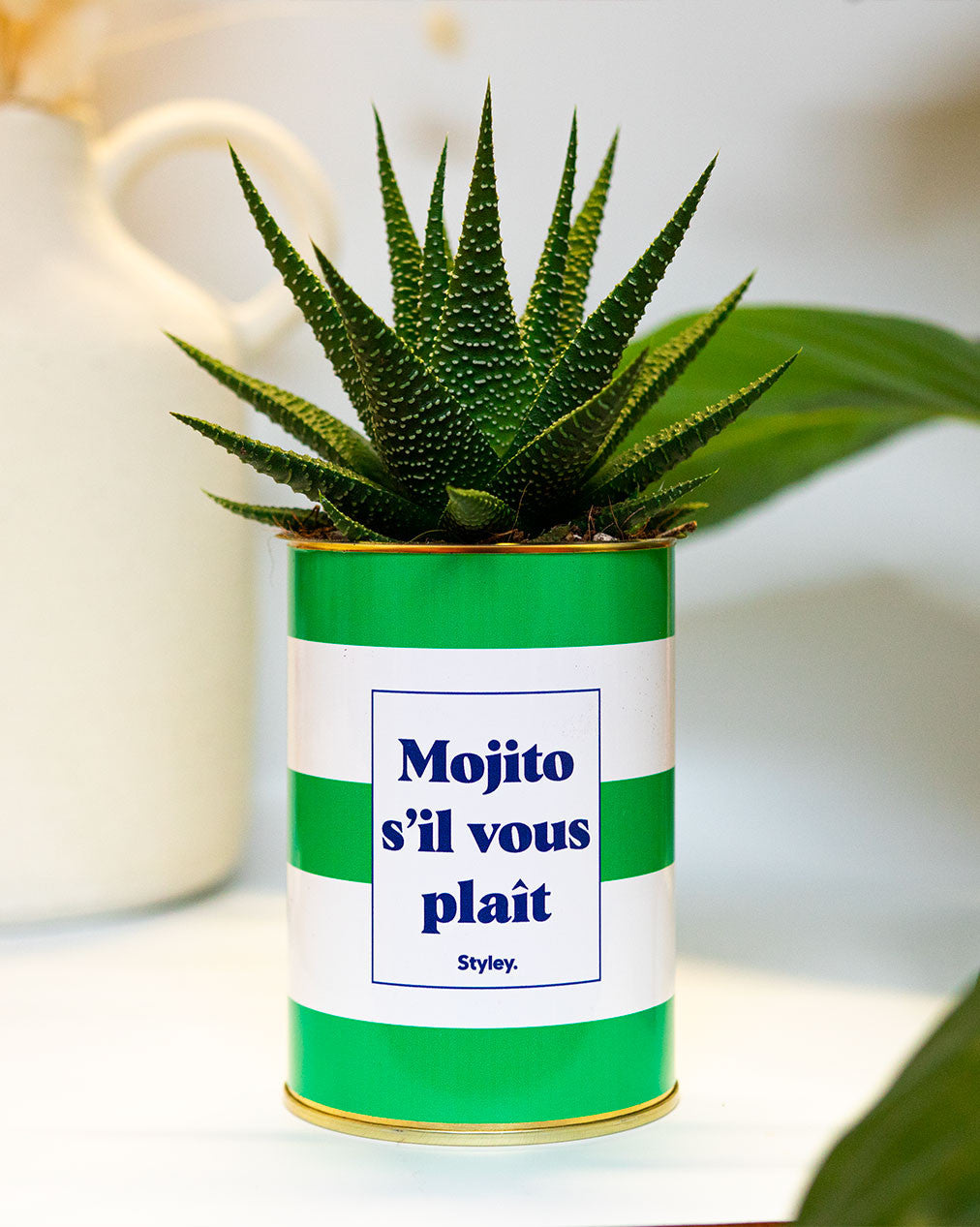 Mojito S'il vous plait - Cactus