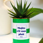 Mojito S'il vous plait - Cactus