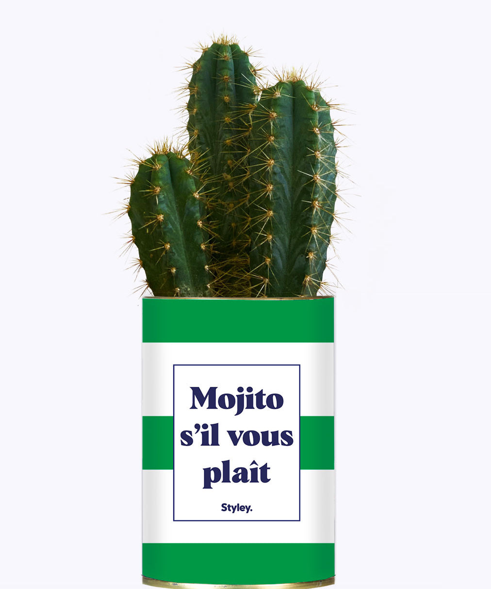 Mojito S'il vous plait - Cactus