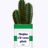 Mojito S'il vous plait - Cactus