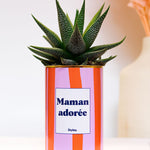 Maman adorée - Cactus