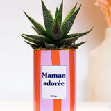 Maman adorée - Cactus