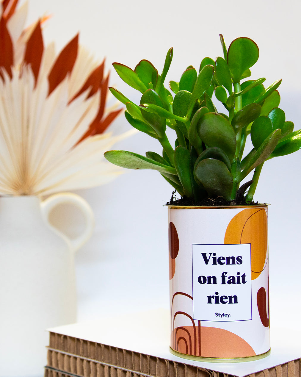 Viens on fait rien - Cactus
