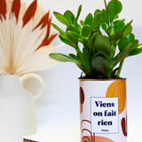 Viens on fait rien - Cactus