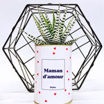 Maman d'amour - Cactus