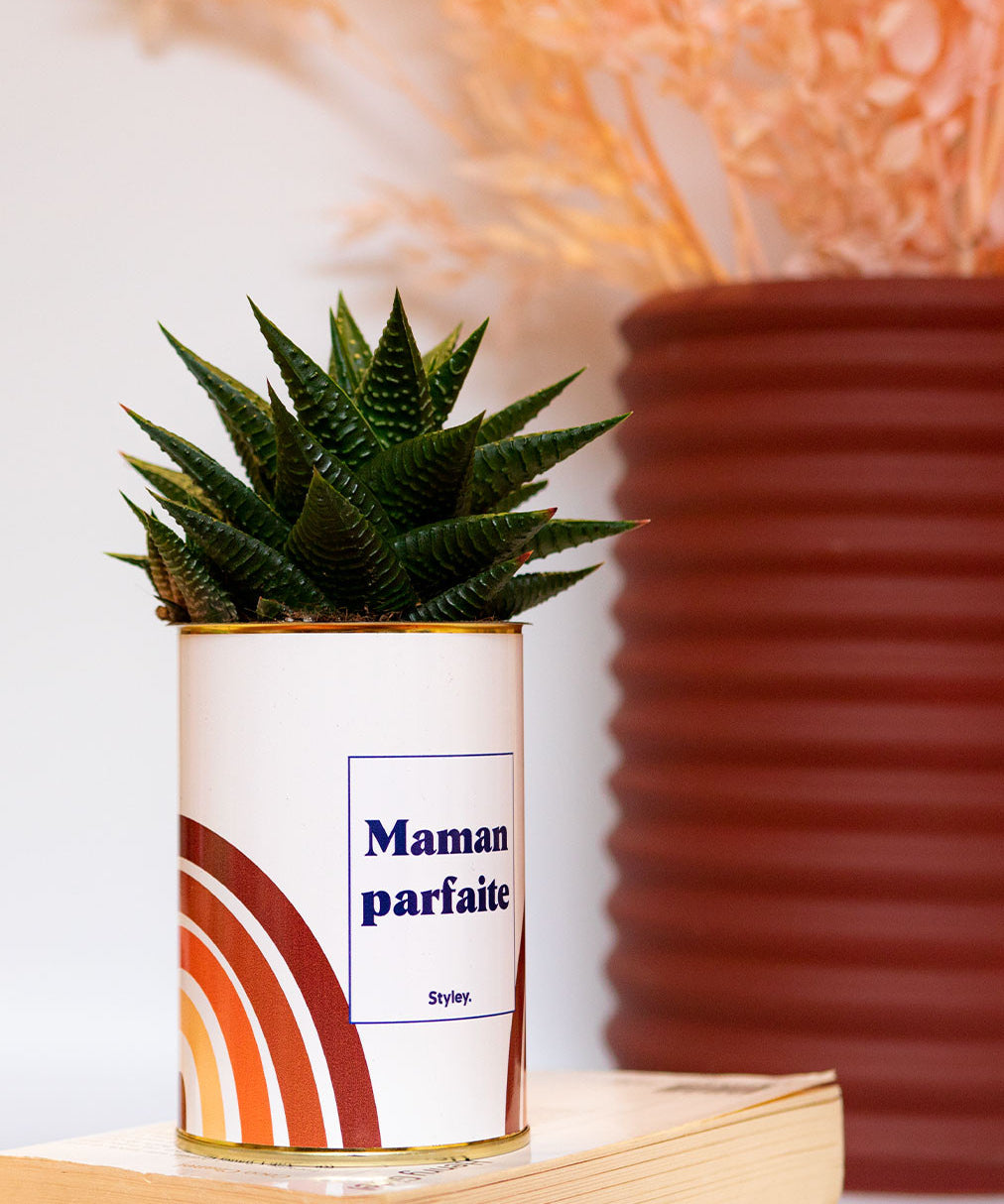 Maman parfaite - Cactus