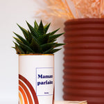 Maman parfaite - Cactus