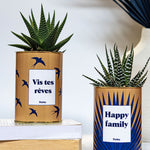 Vis tes rêves - Cactus