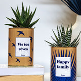 Vis tes rêves - Cactus