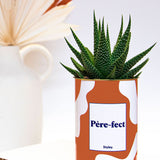 Père-fect - Cactus