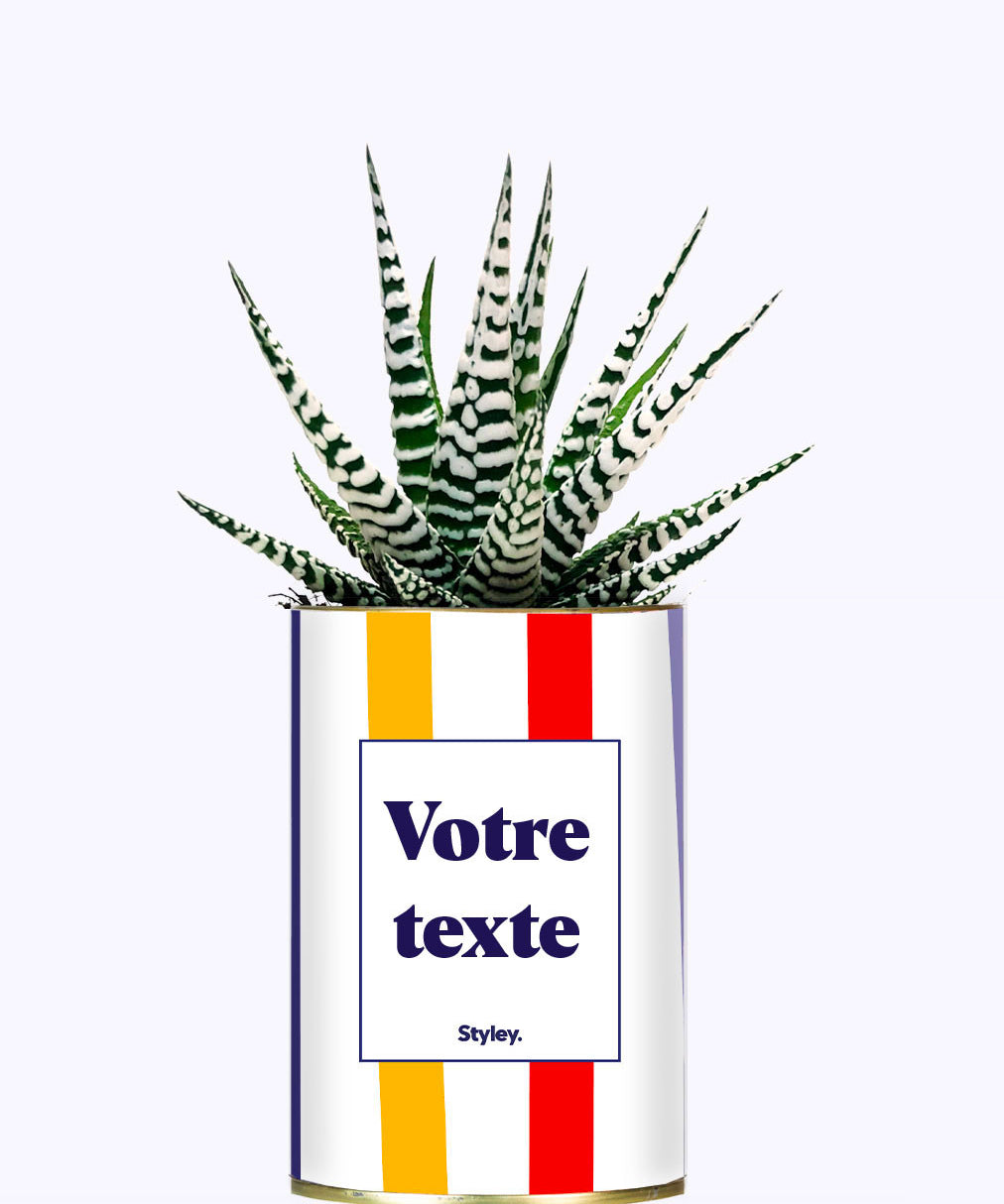 Cactus Venise - Personnalisable