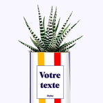 Cactus Venise - Personnalisable