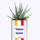 Cactus Venise - Personnalisable