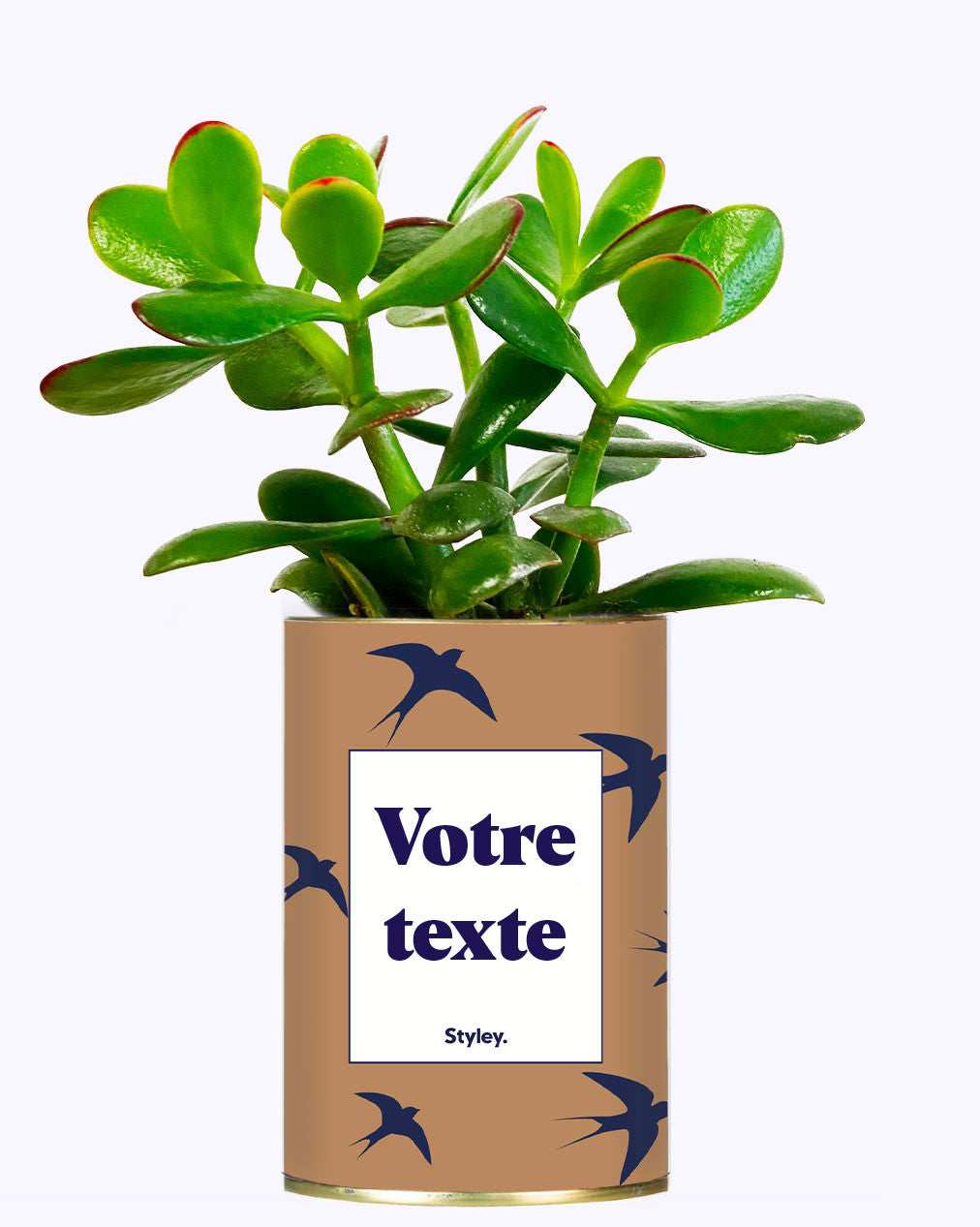 Cactus Hirondelles - Personnalisable