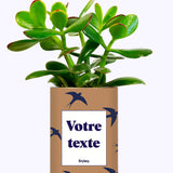 Cactus Hirondelles - Personnalisable