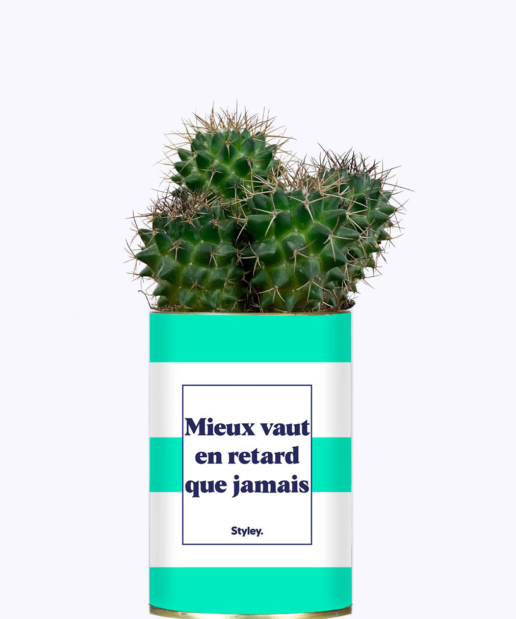 Mieux vaut en retard que jamais - Cactus
