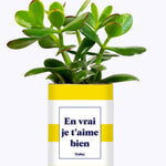 En vrai je t'aime bien - Cactus