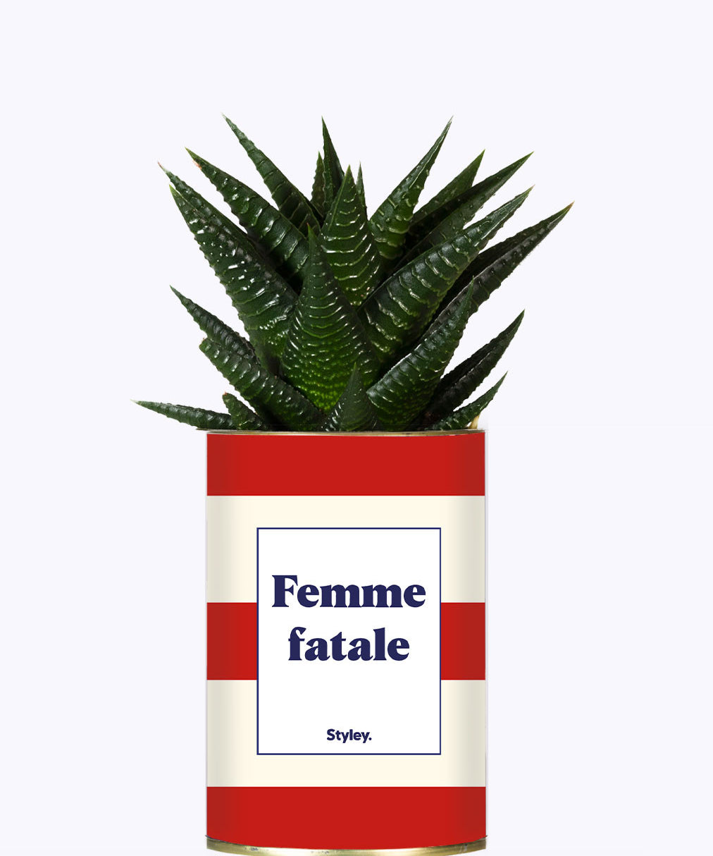 Femme fatale - Cactus