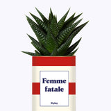 Femme fatale - Cactus
