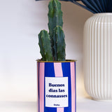 Buenos dias las connasses - Cactus