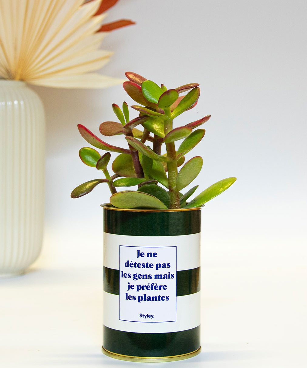 Je ne déteste pas les gens mais je préfère les plantes - Cactus