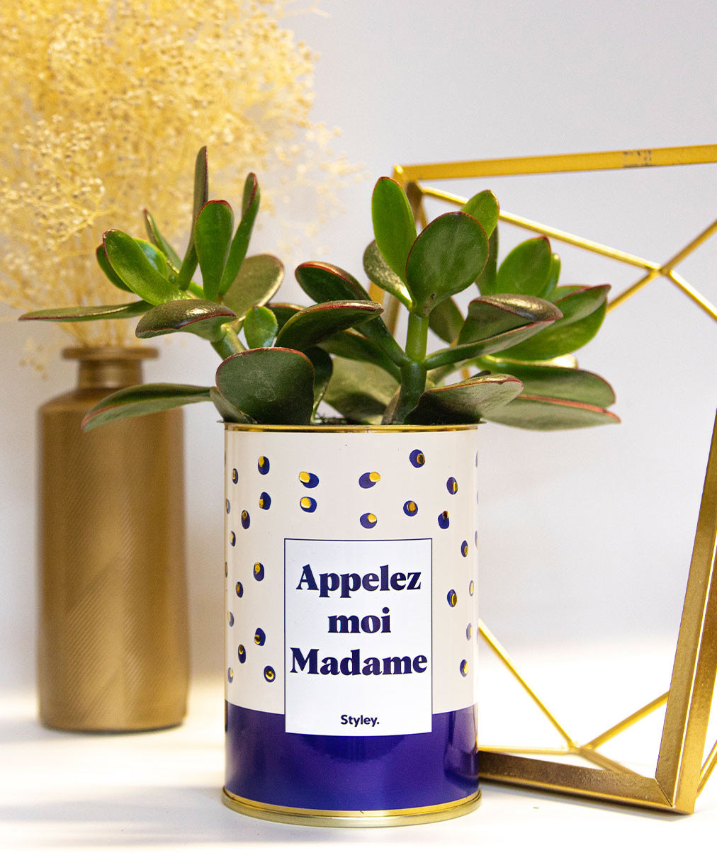 Appelez-moi madame - Cactus