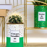 C'est pas Versailles ici - Cactus